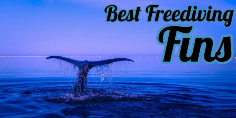 Best-freediving-fins