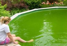 Swimming in Green Pool Water
